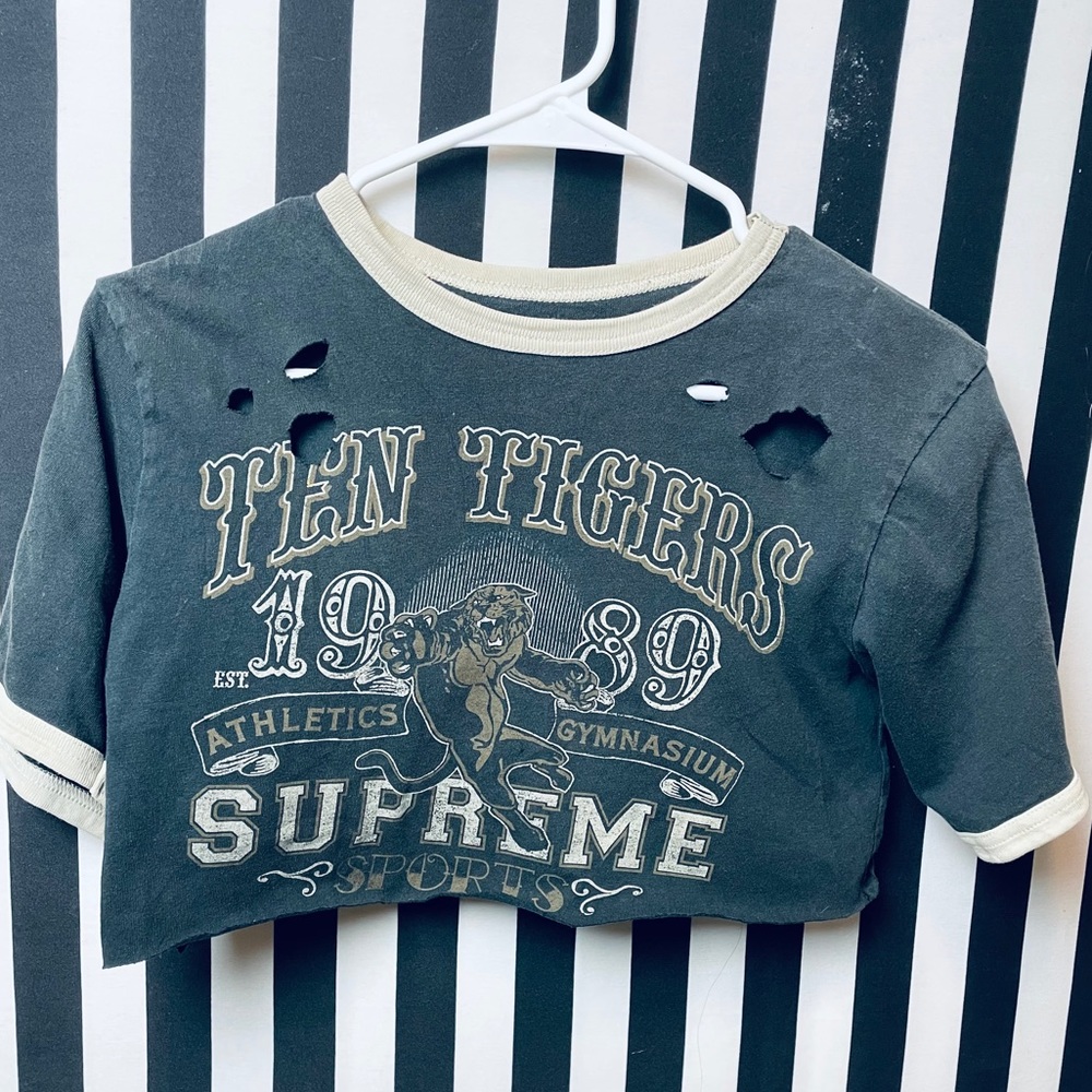 Destroyed Vintage Ringer Crop Top